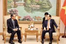 El vicepremier y ministro de Relaciones Exteriores de Vietnam, Bui Thanh Son (derecha), intercambia con el ministro de Energía y Minas de Laos, Phosay Sayasone. (Foto: VNA)