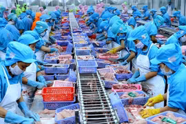 Vietnam y Suiza disponen de grandes potencialidades para cooperación multifacética