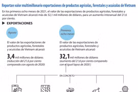 Reportan valor multimillonario exportaciones de productos agrícolas, forestales y acuícolas de Vietnam