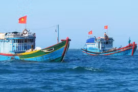 Provincia vietnamita intensifica combate contra la pesca ilegal 
