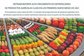 Crecen exportaciones de productos agrícolas clave de Vietnam en los primeros nueve meses