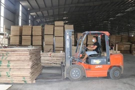  Incentivan en Vietnam comercio transparente de productos madereros 