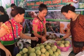 Promueve Vietnam desarrollo comercial en zonas montañosas e insulares