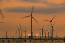 En alza producción de energía renovable de Vietnam entre enero y abril 