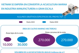 Vietnam se empeña en convertir la acuicultura marina en industria manufacturera a gran escala