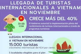 Aumenta llegada de turistas internacionales a Vietnam en Noviembre