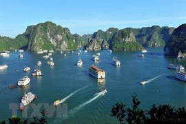 Búsquedas internacionales sobre el turismo vietnamita aumentan notablemente