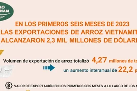 Exportaciones de arroz vietnamita alcanzan 2,3 mil millones de dólares 