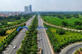 Hanoi refuerza cobertura de árboles en carreteras urbanas 