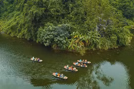 Oportunidades innovadoras para la industria sin humo de provincia vietnamita de Ninh Binh