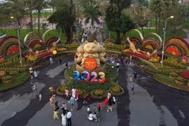 Extranjeros expresan sus impresiones por Tet tradicional vietnamita