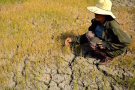 Incorporan perspectiva de género en políticas de respuesta al cambio climático en Vietnam