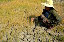 Incorporan perspectiva de género en políticas de respuesta al cambio climático en Vietnam