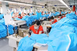 Promoción de e-comercio, palanca para desarrollo de marcas de empresas vietnamitas