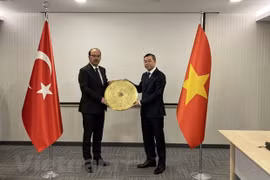 Refuerzan cooperación Auditoría Estatal de Vietnam y Tribunal de Cuentas de Turquía