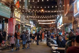 Atractivas actividades en calle peatonal de comida nocturna Dao Ngoc - Ngu Xa en Hanoi