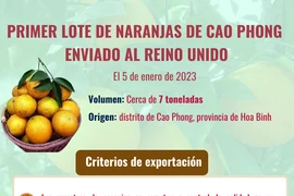 Primer loto de naranja de Cao Phong enviado al Reino Unido