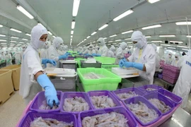 Gana empresa vietnamita prestigio en la exportación de productos acuáticos