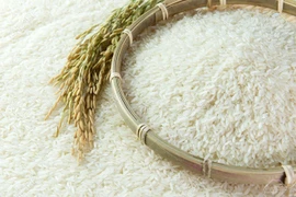 Promueven cooperación pública y privada en producción arrocera