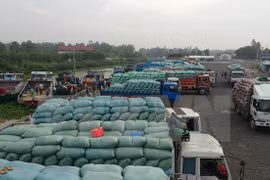 Destacado ascenso de exportación arrocera vietnamita a África