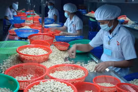 Experimenta fuerte aumento de intercambio comercial Vietnam - Canadá