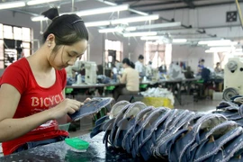 Unión Europea, socio importante de Ciudad Ho Chi Minh