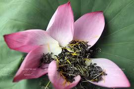 Tomar té aromatizado de loto, una costumbre de hanoyenses 