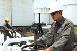 Planea PVN ascender su ingreso multimillonario al cierre de 2015