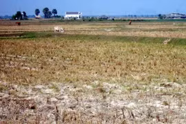 Vietnam integrado a V20 de países vulnerables al cambio climático