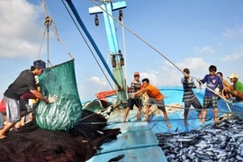 Ligero aumento de producción pesquera de Vietnam