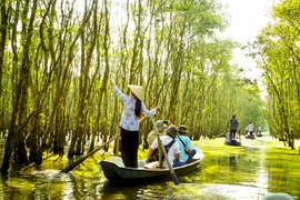 Ecoturismo- propulsor de la industria sin humo de Dong Thap