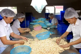 Dong Nai logra mayor ganancia por exportación