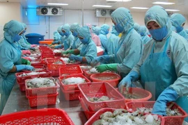 Vietnam diversifica nexos con Tratado de Libre Comercio con UE