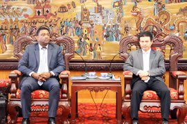 Buscan grupos españoles oportunidades de inversión en Vinh Phuc