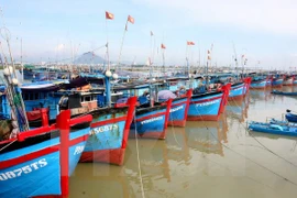 Asociación de Pesca condena asesinato a pescador vietnamita