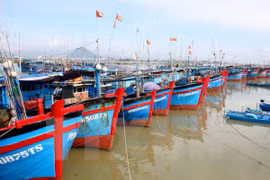 Asociación de Pesca condena asesinato a pescador vietnamita