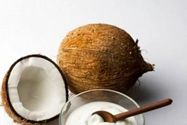 Inauguran mayor fábrica de procesamiento de coco en Ben Tre