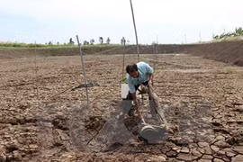 Hung Yen prioriza lucha contra el cambio climático