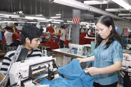 Empresas vietnamitas buscan oportunidades de negocios en Rusia