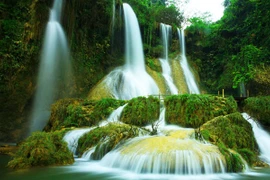Belleza salvaje de cascada Dai Yem en Moc Chau