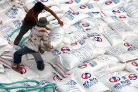 Podría Filipinas fracasar en meta de producción arrocera