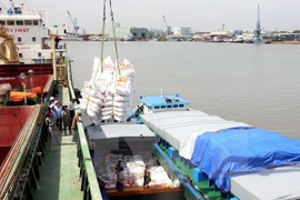 Vietnam exportará 450 mil toneladas de arroz a Filipinas