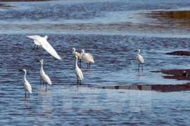 Arrancan proyecto de conservación de humedales y paisajes