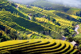 Evento cultural honra a pintorescas terrazas de arroz de Hoang Su Phi