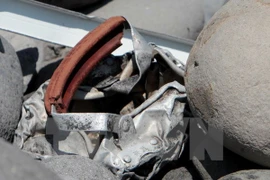 El supuesto fragmento de puerta del avión encontrado ayer en la isla francesa de Reunion es en realidad una escalera doméstica (Fuente: AFP/VNA)