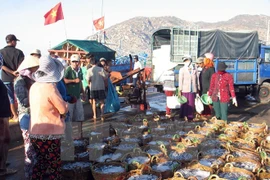 Vietnam adquiere experiencias noruegas en economía marítima
