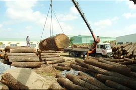 Aumentan exportaciones madereras vietnamitas a China