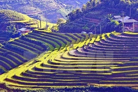 Coloquio sobre conectividad de patrimonios mundiales en Vietnam