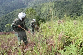 Acomete Ha Tinh desactivación de bombas sin explotar