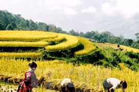 Comienza Semana de Cultura y Turismo de Terrazas de Hoang Su Phi